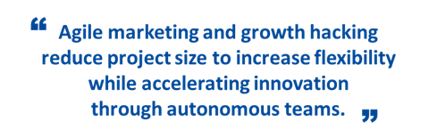marketing management process growth hacking